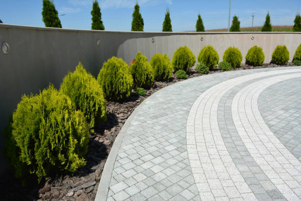 Best Residential Paver Driveway  in Pike Creek Valley, DE