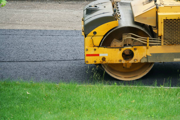 Best Best Driveway Pavers  in Pike Creek Valley, DE